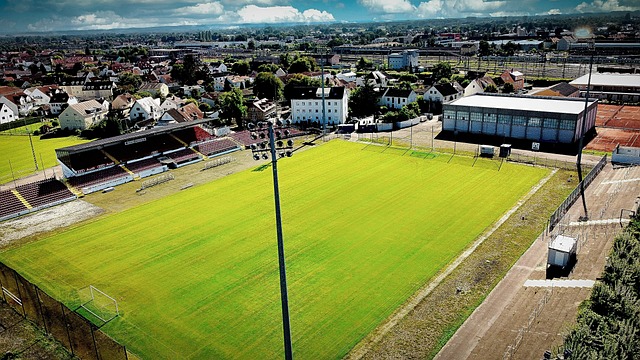 球隊應該全 球隊應該全