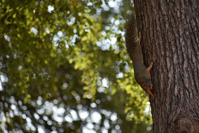 洞显然值得 洞显然值得
