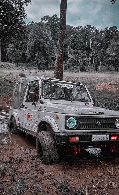 黄蜂队三球赛季报销，冲击弗拉格的机会或成泡影.