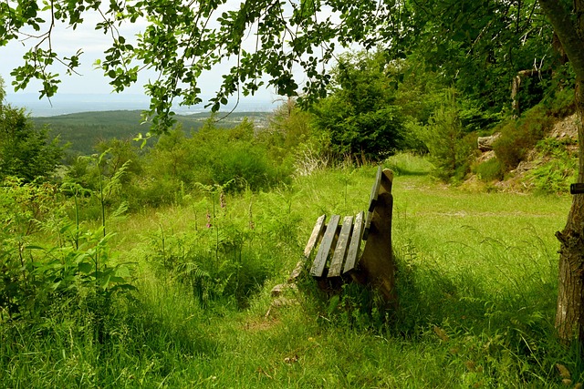 田径赛场变派对现场、24组DJ先后登场……巴黎残奥会闭幕式先睹为快→.