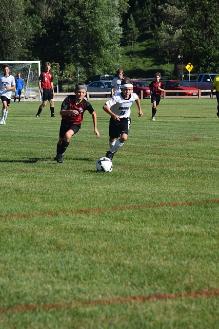 了独特的文 了独特的文